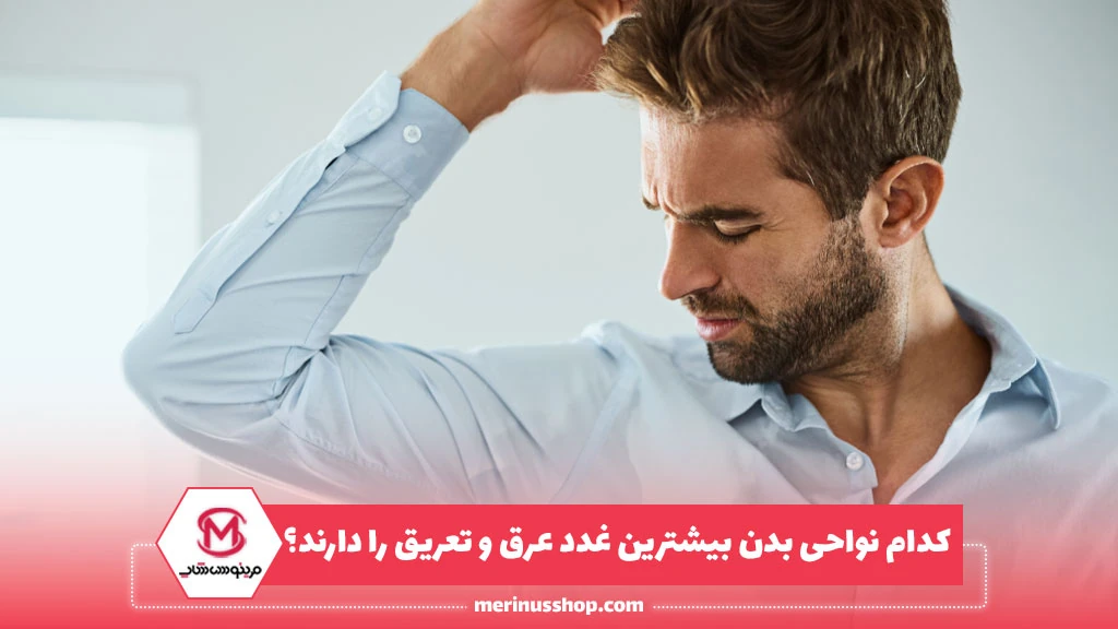 کدام نواحی بدن بیشترین غدد عرق و تعریق را دارند؟